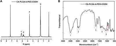 Dacarbazine-Loaded Targeted Polymeric Nanoparticles for Enhancing Malignant Melanoma Therapy